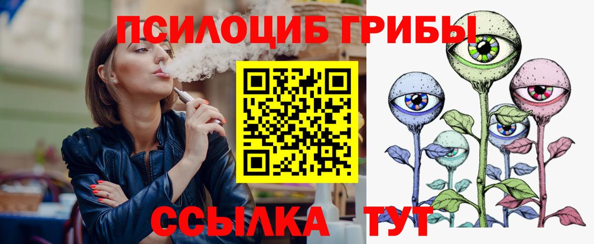 Ртищево  Галлюциногенные грибы Psilocybe  Вход с VPN 